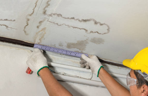 Reliable Mold Remediation contractor in Green Bay, WI by Water Damage Irwin